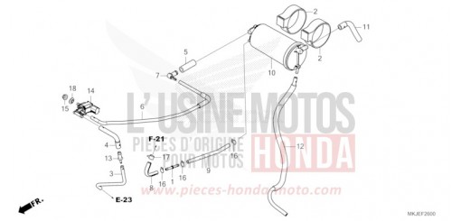 CANISTER CB1000RAM de 2021