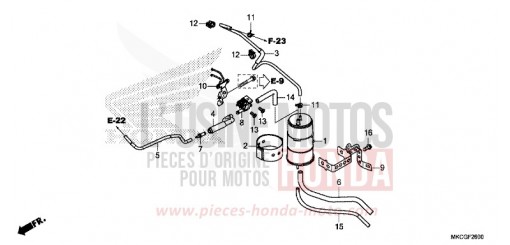 CANISTER GL1800BDL de 2020