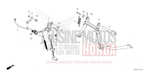 STAND GL1800BDN de 2022