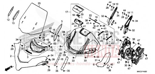 WINDSCREEN GL1800DAK de 2019