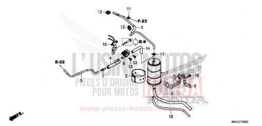 CANISTER GL1800K de 2019