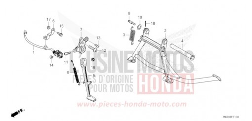 STAND GL1800M de 2021