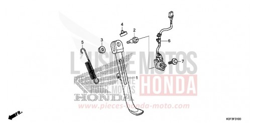 STAND Z125MAK de 2019