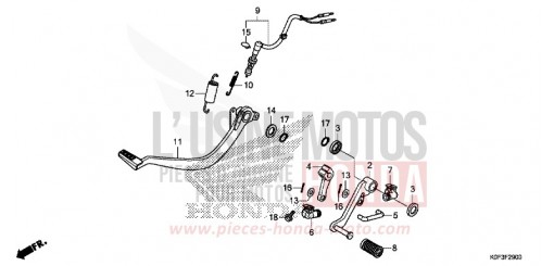 PEDAL Z125MAK de 2019