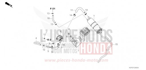 CANISTER Z125MAN de 2022