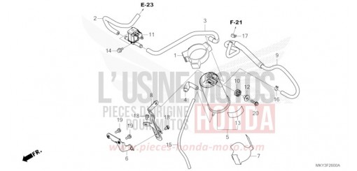 CANISTER CB650RAM de 2021