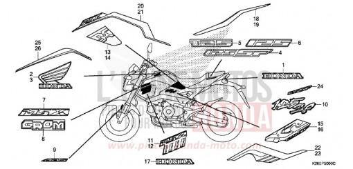 MARCA/STRISCIA MSX125AJ di 2018