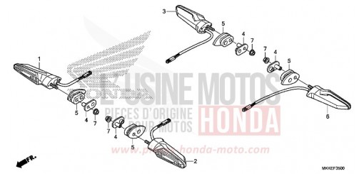 FRECCIA CRF1000AK di 2019