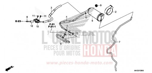 CANISTER CRF1100A2L de 2020
