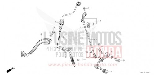 PEDAL CRF1100DN de 2022