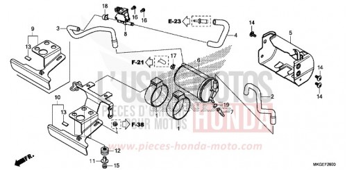 CANISTER/STAY CMX500AN de 2022