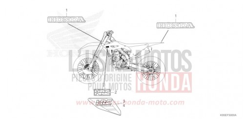 MARCATORE CRF250RN di 2022