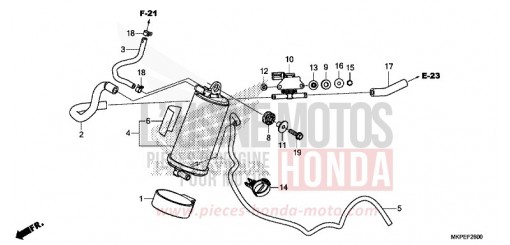 CANISTER CB500FAN de 2022