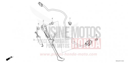 CAVALLETTO CB1000RAP di 2023
