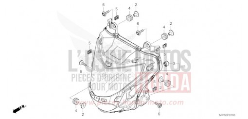 FARO NC750XDP di 2023