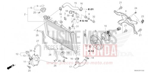 RADIATORE NC750XDP di 2023