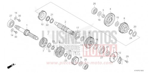 TRANSMISSION CRF110FP de 2023