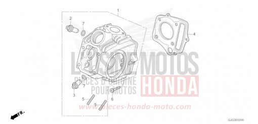 TESTATA CRF50FP di 2023