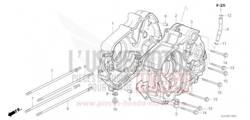 CRANKCASE CRF50FP de 2023