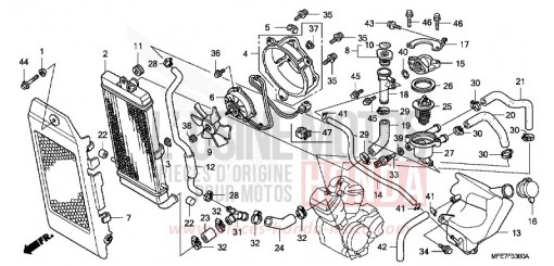 RADIATORE VT750C2BA di 2010