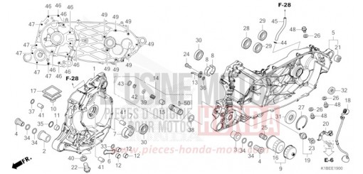 CARTER NSS350AP di 2023