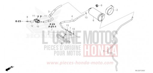 CANISTER CRF1100D4P de 2023