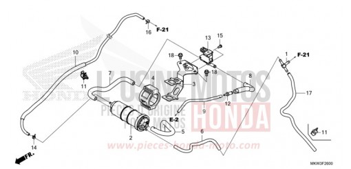 CANISTER NC750XDM de 2021