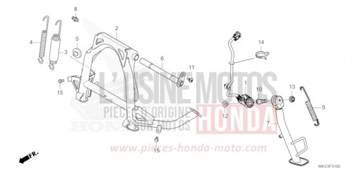 CAVALLETTO NSS750P di 2023