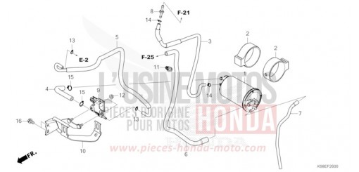 CANISTER CBF125NAP de 2023