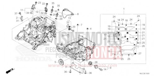 CRANKCASE XL750P de 2023