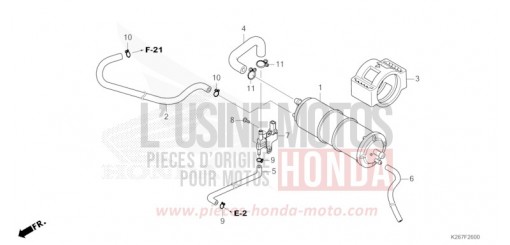 CANISTER MSX125AN de 2022