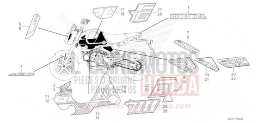 MARCA/STRISCIA MSX125AP di 2023