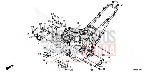 TELAIO CRF1000AK di 2019