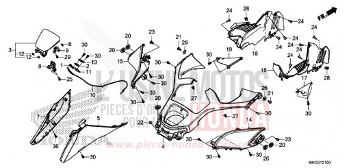 RIPARO GL1800DAK di 2019