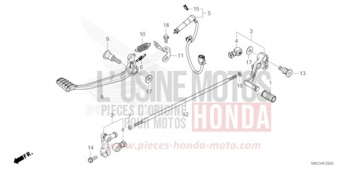 PEDAL GL1800BDM de 2021