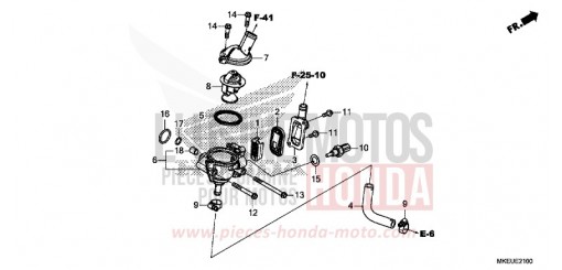 THERMOSTAT/HOSE CRF450LK de 2019