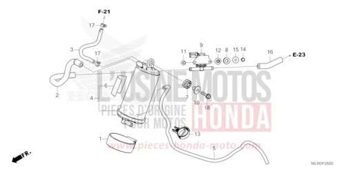 CANISTER CB500XAR de 2024
