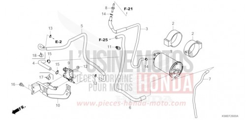 CANISTER CBF125NAR de 2024