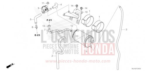 CANISTER CMX1100AR de 2024