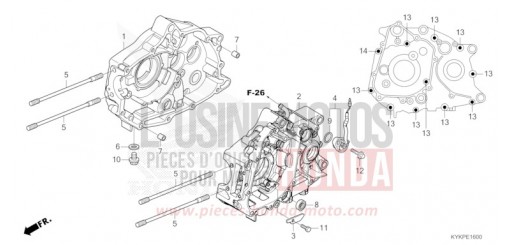 CRANKCASE CRF110FR de 2024