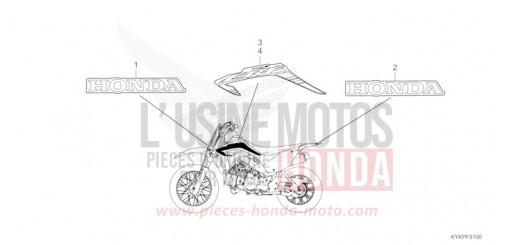 STRISCIA/MARCHIO CRF110FR di 2024