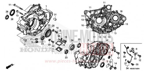 CRANKCASE CRF250RXL de 2020