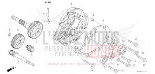 TRASMISSIONE SH125ADR di 2024