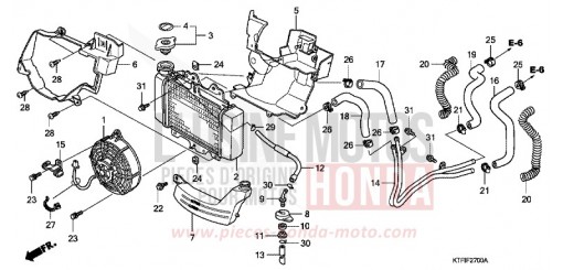 RADIATORE SH150A di 2010