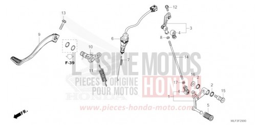 PEDAL NT1100DR____________ de 2024