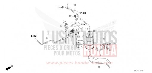 CANISTER GL1800BDR de 2024