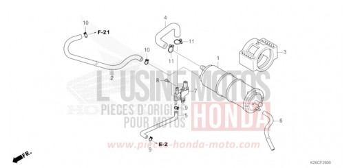 CANISTER MSX125AR de 2024