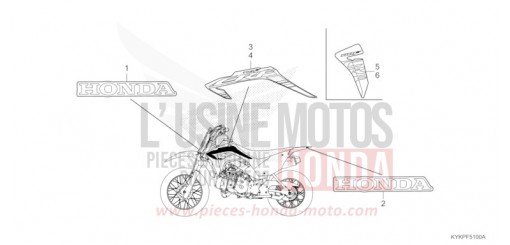 STRISCIA/MARCHIO CRF110FS di 2025