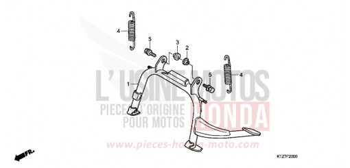 CAVALLETTO PES1257 di 2007