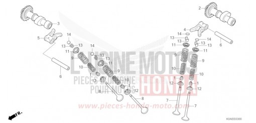 CAMSHAFT/VALVE CBF300NAN de 2022